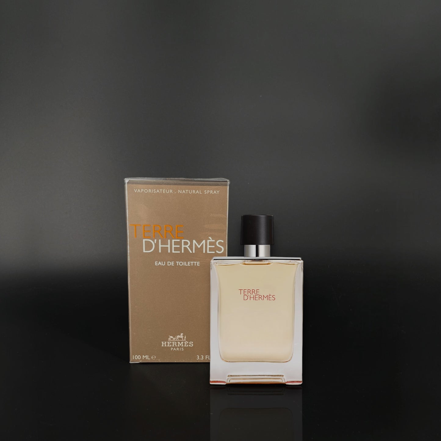 Hermes Terre D`Hermes 100ml EDT